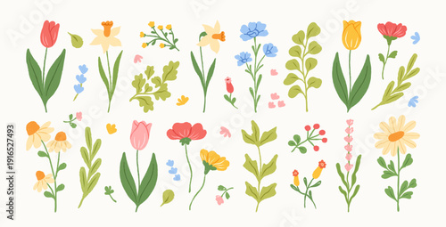 Set of spring and summer abstract hand drawn flowers. Tulips, daffodil, floral cute doodle elements, wildflower, leaves and herb, plants. Colorful drawing brush, crayon, line. Vector illustration.