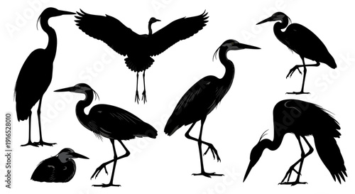 A collection of silhouetted birds in various poses and stages of flight.