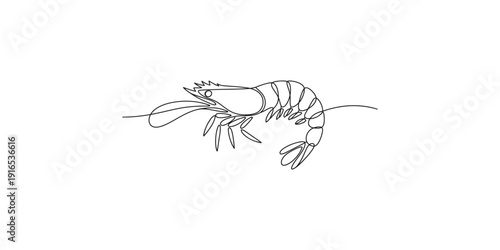 A simple black and white line drawing of a single shrimp against a plain white background.