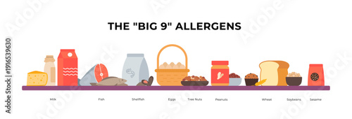 The Big 9 food allergens horizontal banner. Vector flat illustration of milk, eggs, fish, nuts, wheat, soy and sesame on a shelf for menu or website header.