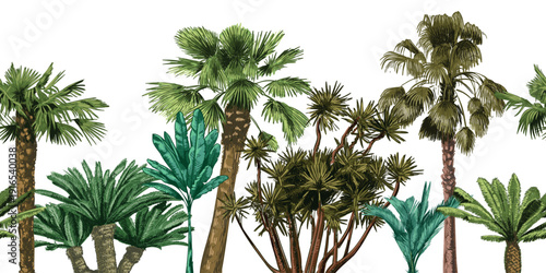 Green palm tree seamless border. Hand drawn fronds, botanical foliage for jungle wallpaper, tropical background and resort travel beach poster. Exotic island landscape horizontal vector panorama