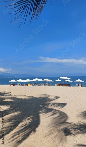 Sun loungers on the beach.