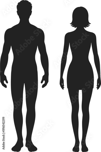 Male and female human body silhouette isolated on white background, full length front view, anatomy concept, gender comparison, minimal vector illustration style