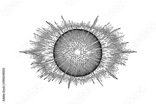 Intricate hand drawn sunburst design with detailed lines and radial pattern