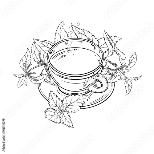 Cup of Nettle Tea aroma beverage Outline Illustration. Vector isolated for Design and Decoration for Cafeteria, Posters, Banners, Cards.