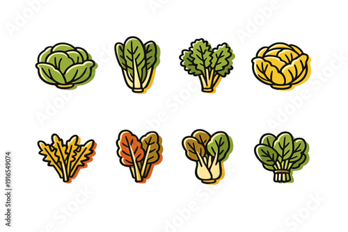 Cartoon leafy greens: cabbage, lettuce, kale, spinach, swiss chard illustrations