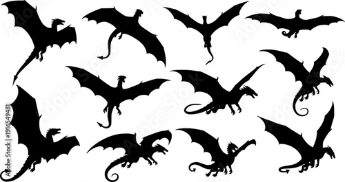 Flying Dragon Silhouette Collection

