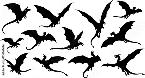 Flying Dragon Silhouette Collection
