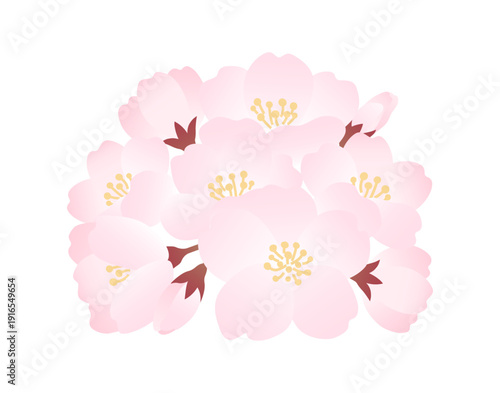 春の桜のイラスト素材
