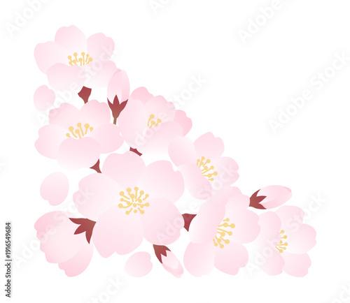 桜のイラストのコーナー装飾素材