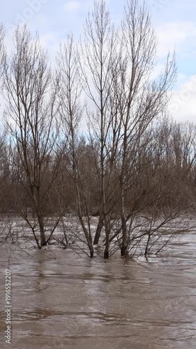 Wallpaper Mural Vertical Video of Rising River Water After Intense Rainstorm Torontodigital.ca
