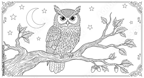 Detailed illustration of an owl perched on a branch at night, coloring page