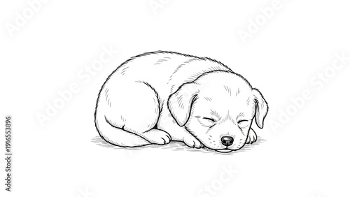 Cute sleeping puppy dog illustration in black and white.