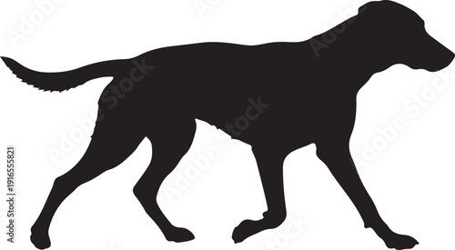  Cur Dog in silhouette on white background.