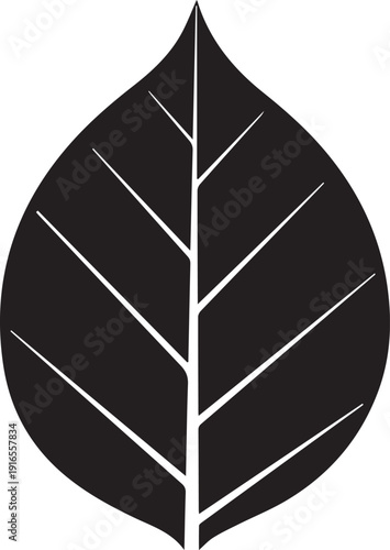 Minimalist black leaf vector illustration with central vein and secondary veins line art