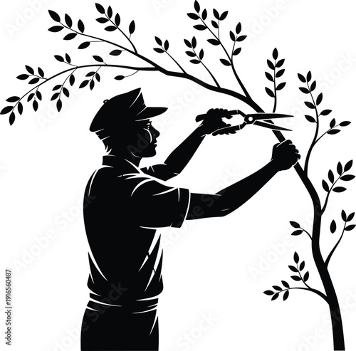 Gardener pruning tree branch silhouette vector illustration, man cutting plant with scissors, gardening maintenance, tree trimming, landscaping and plant care concept