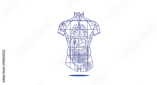 A blue wireframe outline of a human torso displaying internal organs and anatomical structures, Generative AI.