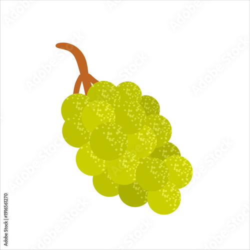 Grapes flat textured vector illustration