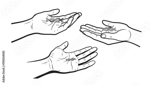 Hands Passing Seedling Icon for Community Planting, Environmental Stewardship, Reforestation Programs and Green Donation Campaigns Vector Illustration