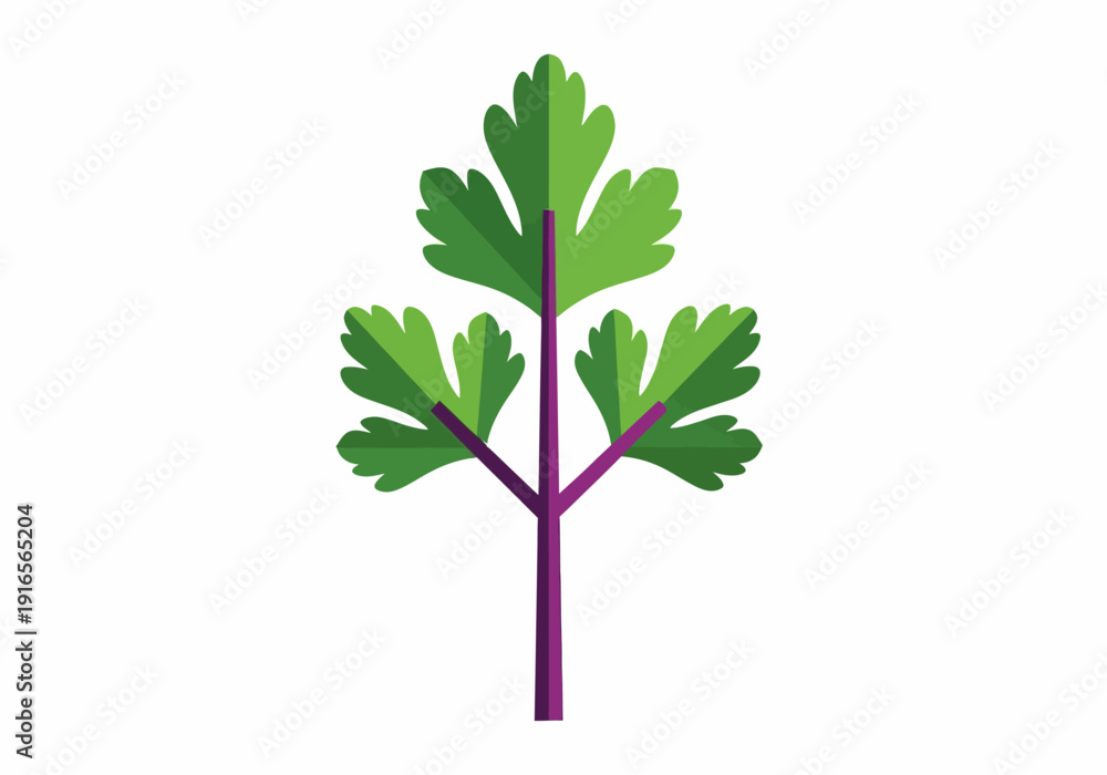 Obraz premium Flat Design Illustration of a Fresh Green Coriander Leaf Sprig.