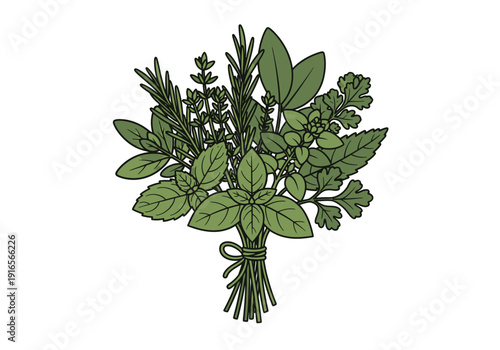 Aromatic Herb Bunch with Fresh Green Leaves Tied Together.