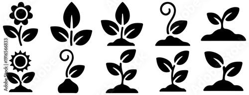 Plant Growth Icons Set
