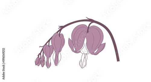 Delicate Bleeding Heart Flower Branch Illustration.