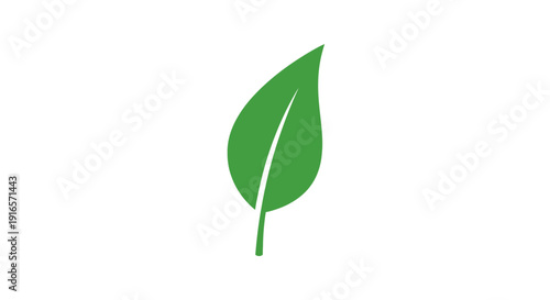 Green leaf illustration on a white background nature and environment concept