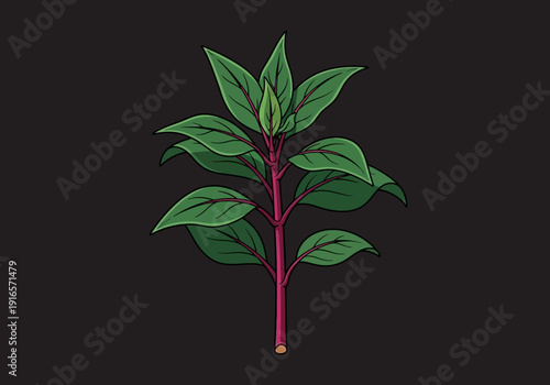 Illustration of a Healthy Green Plant with Red Stem.