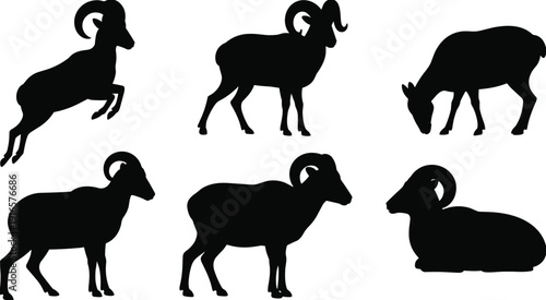 Collection of black ram silhouettes mountain goat icons set isolated on white background cad drawing flat vector illustration for wildlife nature design