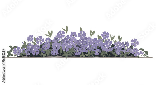 Delicate Blue Periwinkle Flowers Blooming in a Lush Garden Bed.