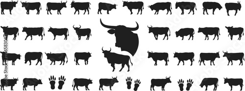 Buffalo cattle silhouette collection with bull cow footprints livestock farm animal black vector illustration set design icons agriculture rural symbols