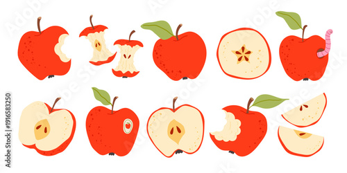 Red apple set including whole, bitten, halved, and sliced fruits. Fresh and healthy food collection, ideal for autumn harvest, nutrition themes and back to school designs. Flat vector illustration