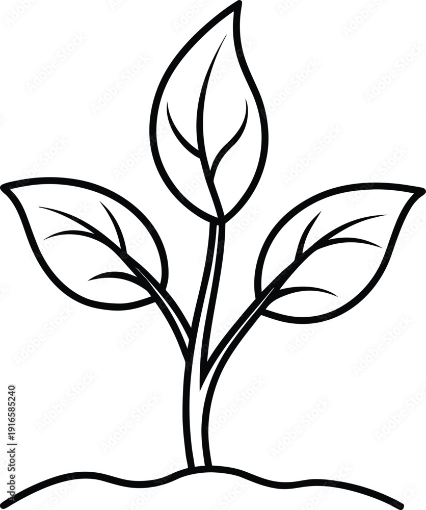 Obraz premium Simple growing plant line art vector with three leaves