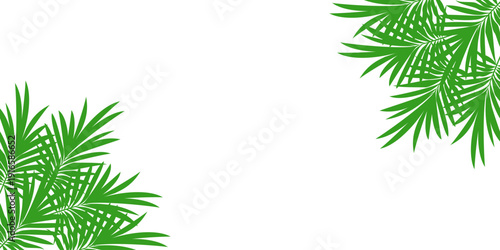 leaf background, Leaf vector symbol, leaf illustration or leaf emoji in flat style. Spring leaf design, ecological nature theme.	
