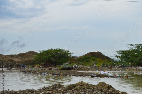lake and mountains in the summer trees 