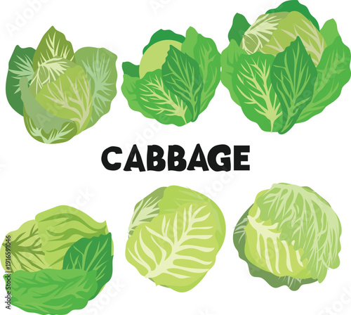 National Cabbage Day is celebrated every year on 17 february