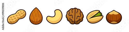 Collection of diverse nuts and peanuts in a simple cartoon style illustration