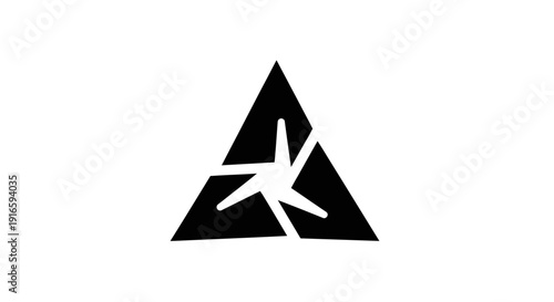 Black Triangle with White Asterisk Inside.