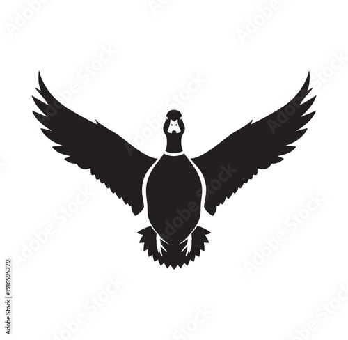 black silhouette of a bird with outstretched wings and head up