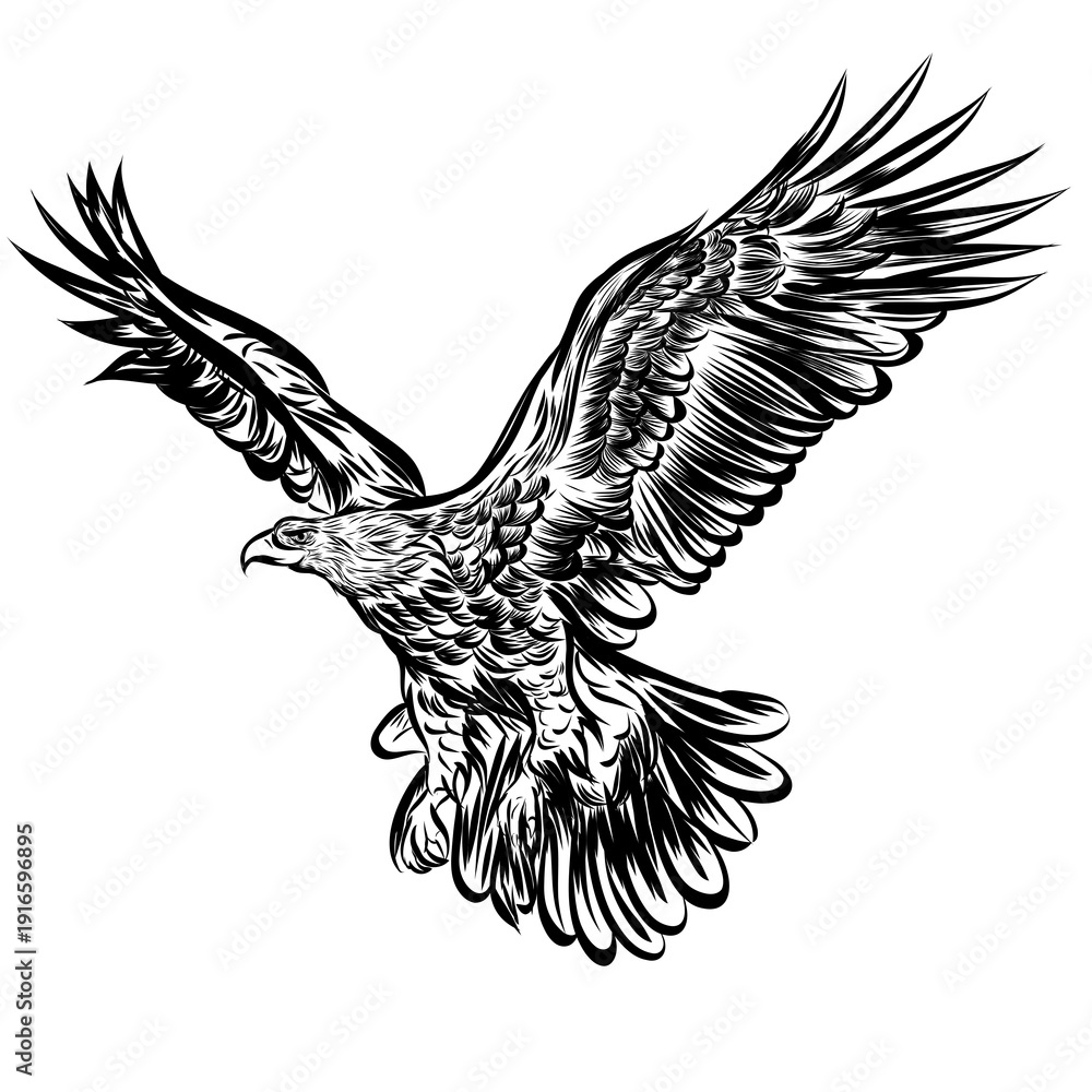 Fototapeta premium Majestic eagle soaring through the air with outstretched wings