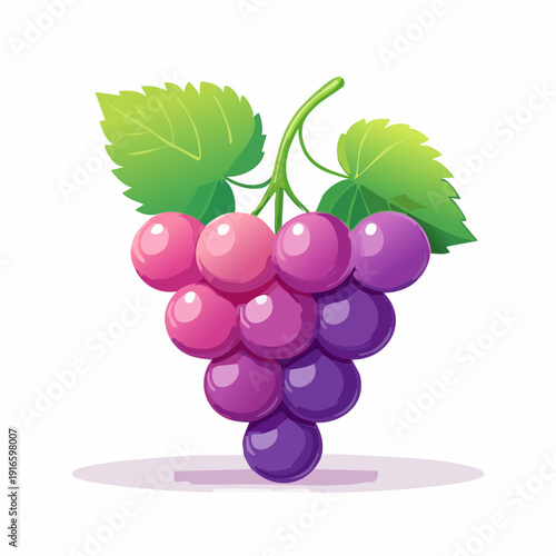 Fresh Grape Cluster Illustration: A vibrant illustration showcasing a succulent cluster of grapes with verdant leaves.