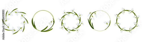 Snowdrop flower wreath set for spring botanical design and wedding decoration
