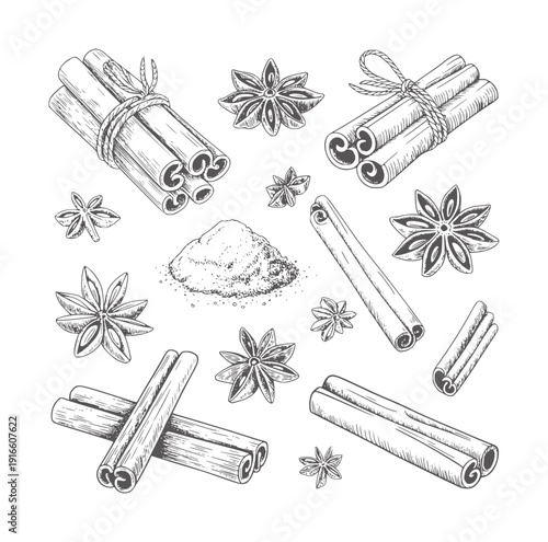 Black and white of cinnamon sticks star anise and ground spice powder