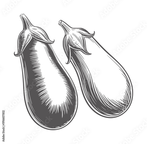 Black and white of two ripe eggplants with shading vegetable food