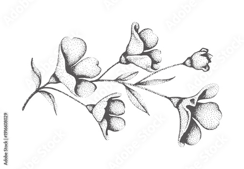 Black and white stippled of delicate flowers stems