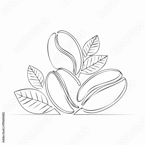 Continuous line, coffee beans and coffee beans line art vector illustration with background editable stroke.