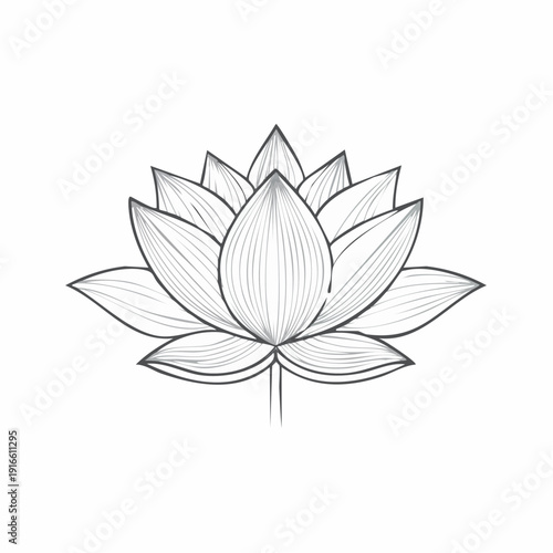 Single line, continuous, lotus flower line art vector illustration with transparent background editable stroke.