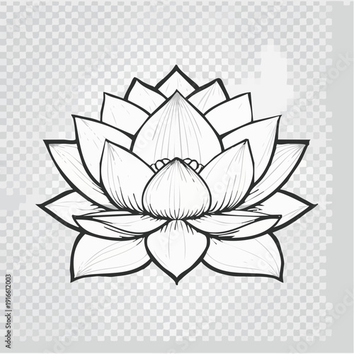 lotus illustration of a flower line art style vector with transparent background editable stroke.