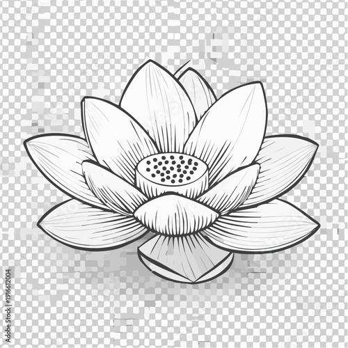 lotus illustration of a flower line art style vector with transparent background editable stroke.
